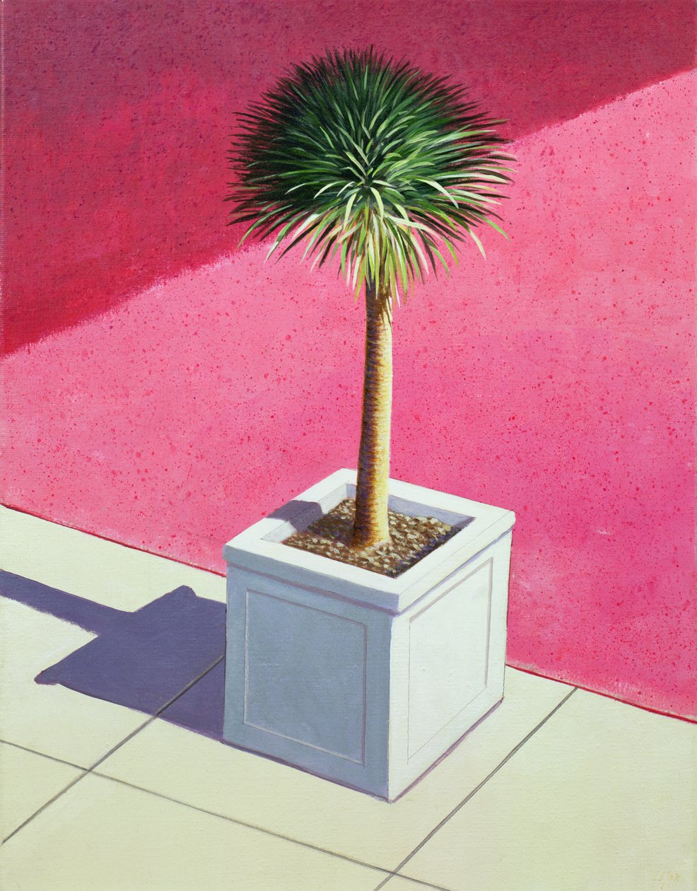 Kleine palm, 1995 door Lincoln Seligman