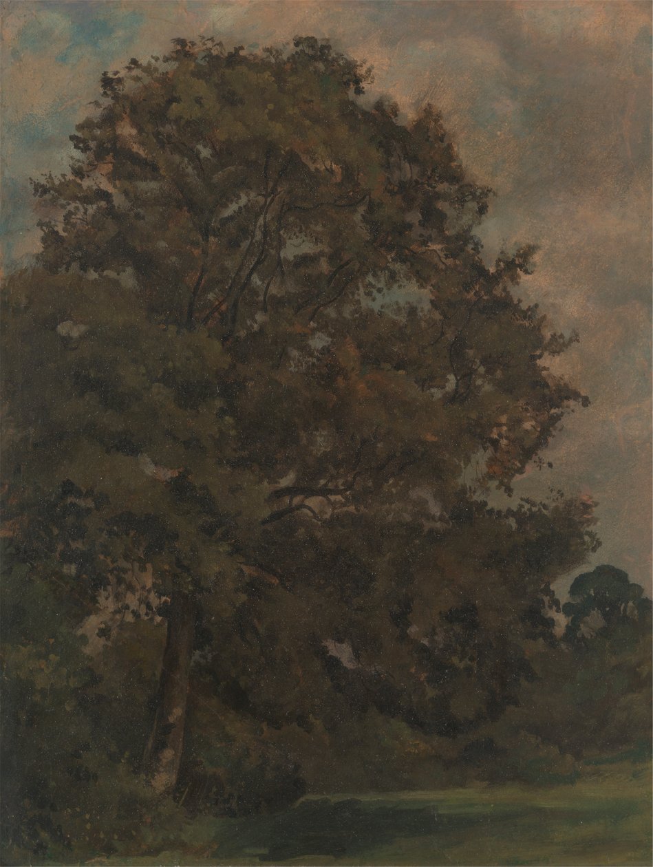 Studie van een Es door Lionel Constable