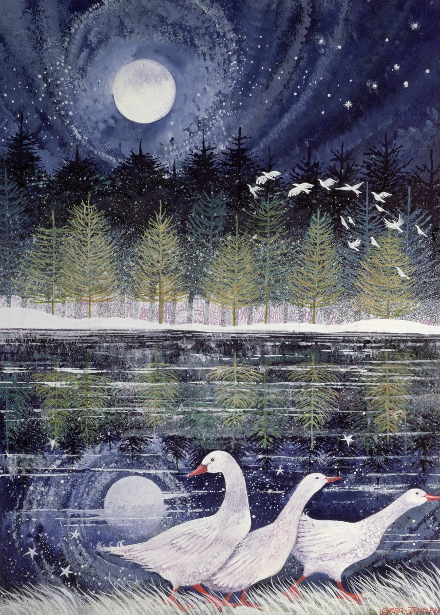 Sneeuwganzen door Lisa Graa Jensen