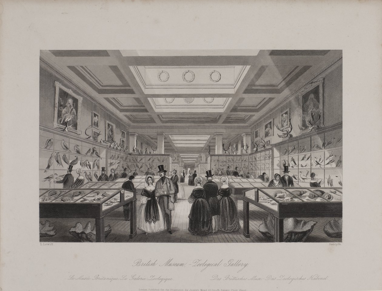 Zoologische Galerij, Brits Museum met bezoekers die naar tentoonstellingen kijken, c.1850 (gravure) door Llewellyn (after) Jewitt