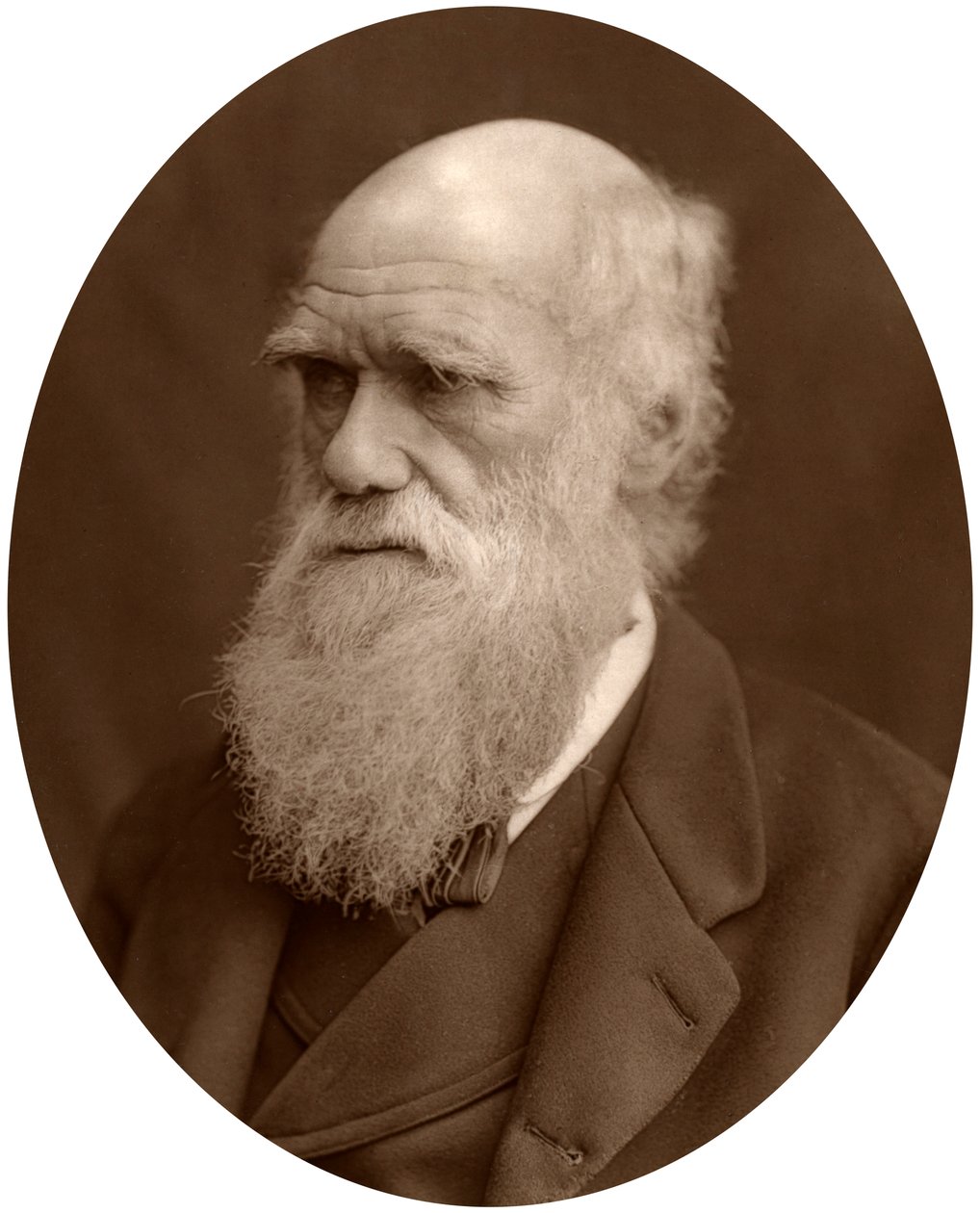 Charles Darwin, 1878 door Lock and Whitfield