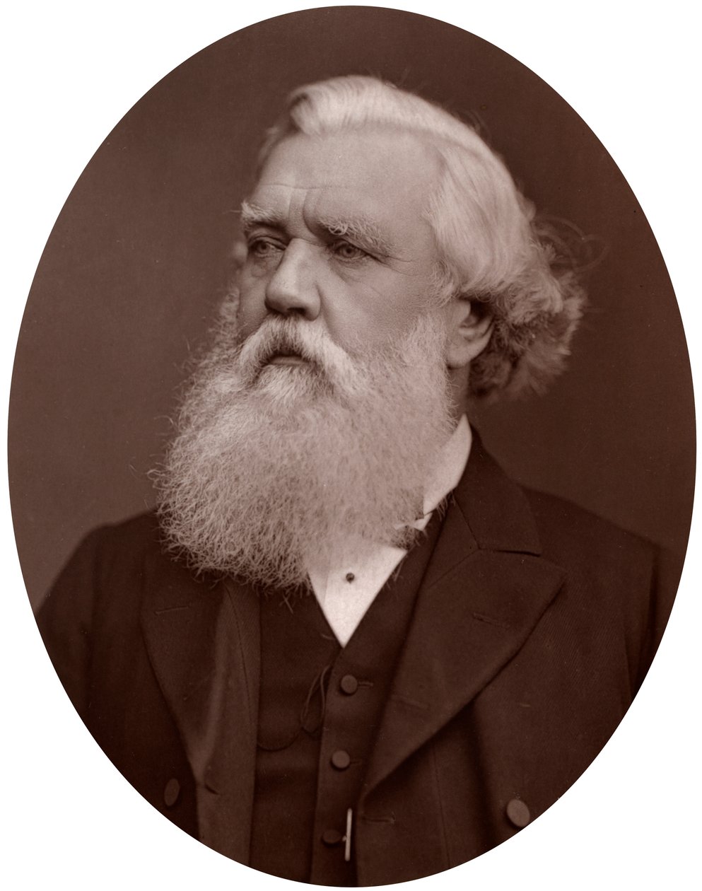 Right Hon Austen Henry Layard DCL, Britse ambassadeur in Constantinopel, 1877 door Lock and Whitfield