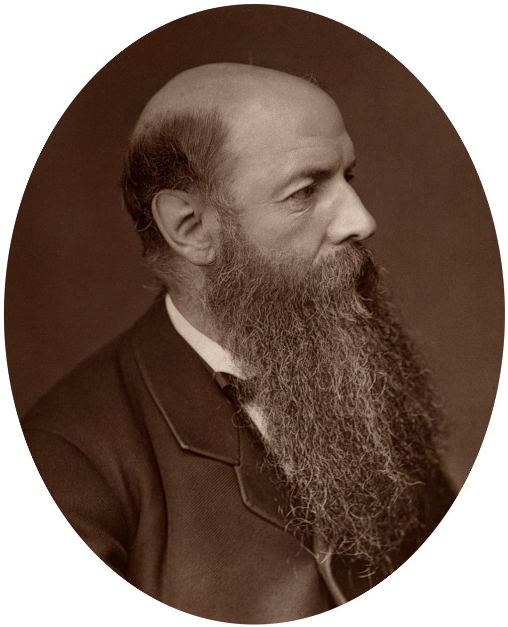 Sir Wilfrid Lawson, politicus, MP voor Carlisle, 1882 door Lock and Whitfield