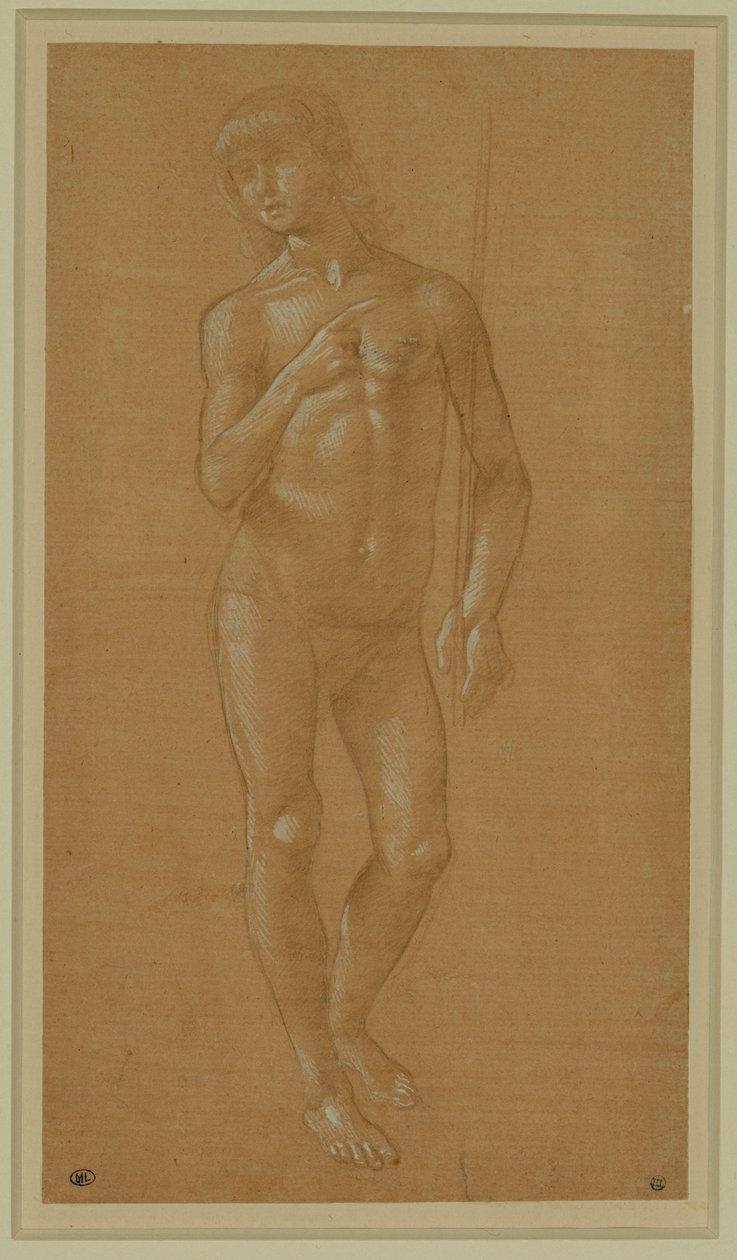 Naakte jongeman, vol gezicht, houdt een staf vast Zilveren penpunt, verhoogd in wit, lichtroze papier ... door Lorenzo di Credi