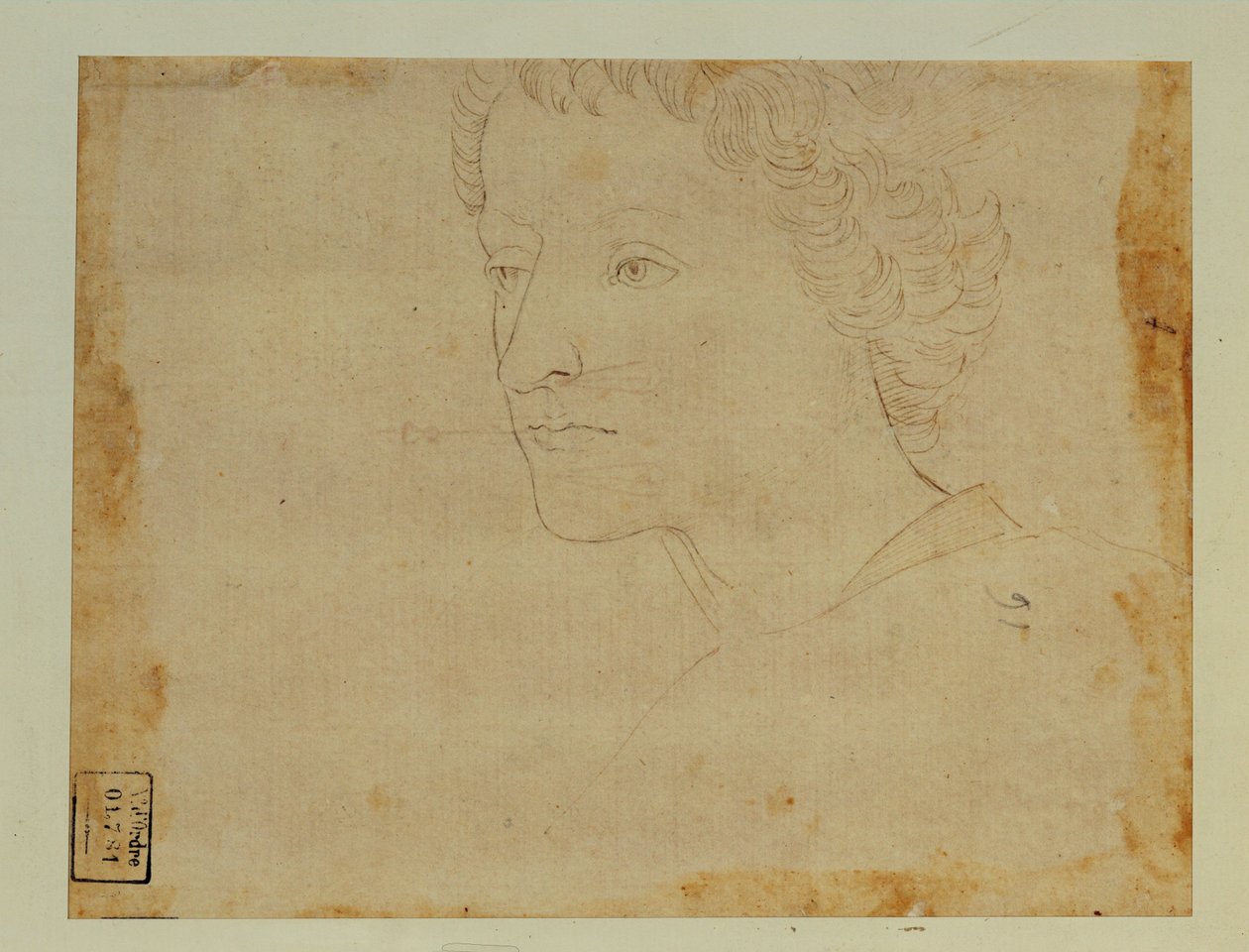 Portret van een jongen met krullend haar, driekwart naar links ... door Lorenzo di Credi