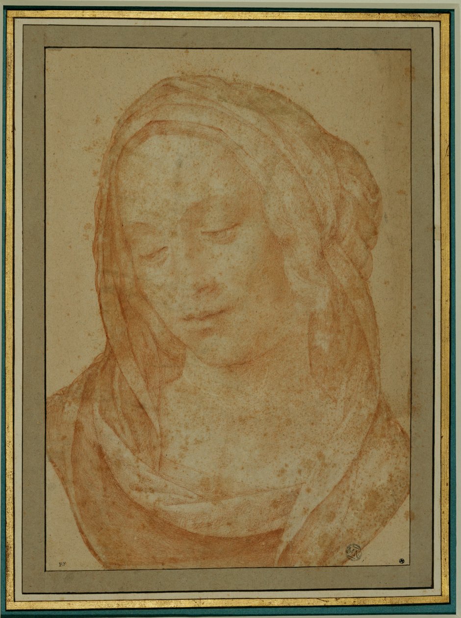 Portret van een vrouw met sluier ... door Lorenzo di Credi