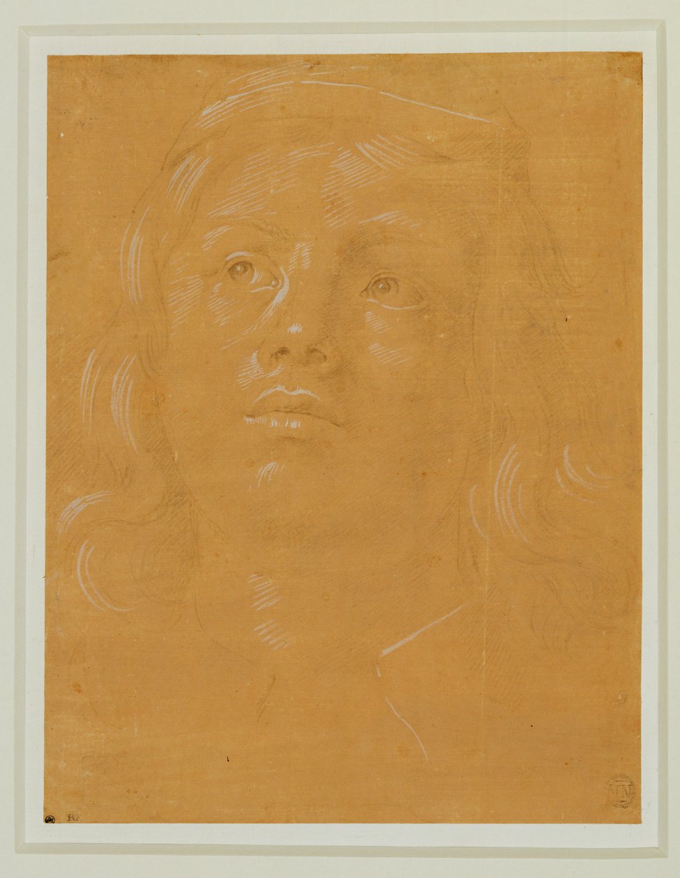 Portret van een jongeman, gezicht, opkijkend ... door Lorenzo di Credi