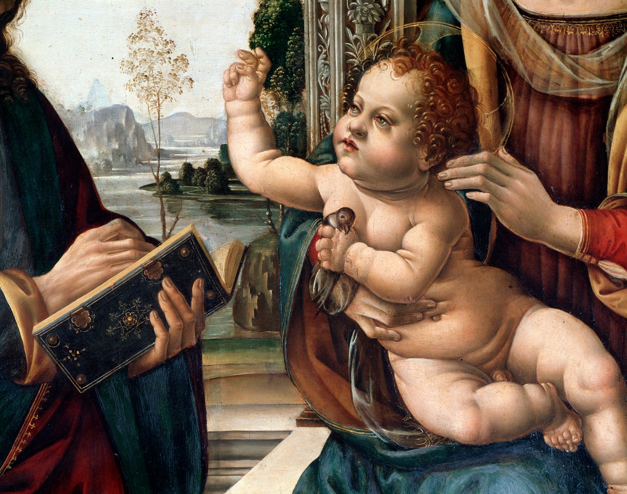 Maagd met kind en twee heiligen, Sint Matteüs en Sint Hiëronymus (detail). Schilderij door Lorenzo di Credi (1459-1537) Florence, kerk Santo Spirito Italië door Lorenzo di Credi