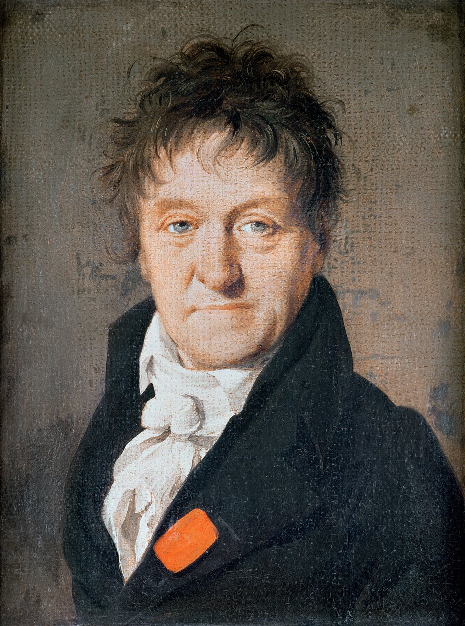Portret van Lazare Nicolas Marguerite Carnot (1753-1823) 1813 door Louis Leopold Boilly