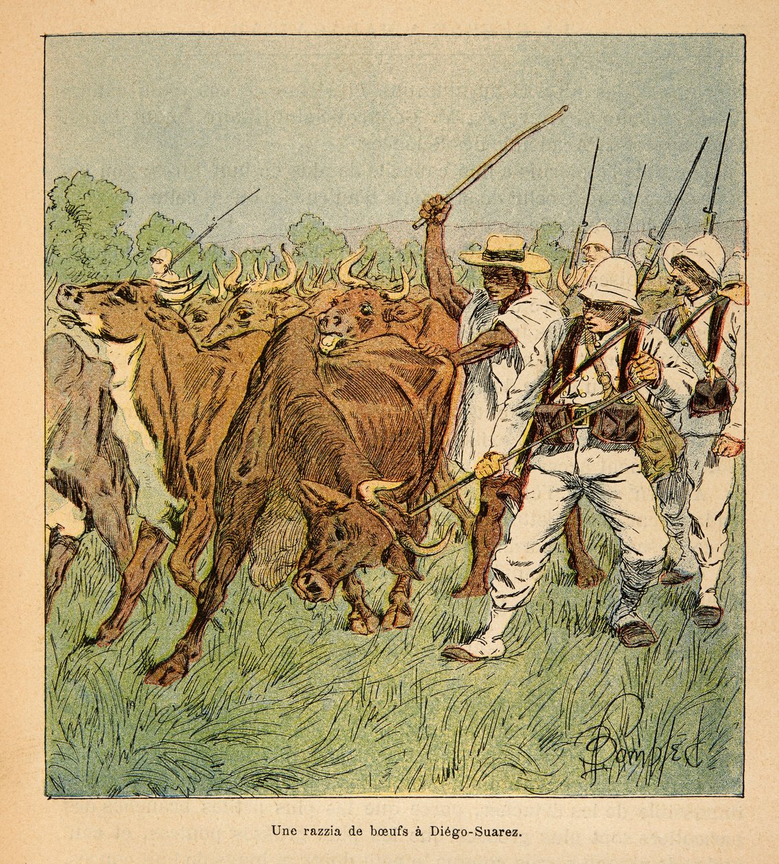 De oorlog in Madagaskar - Anecdotische geschiedenis van de Franse expedities van 1885-1895 door Henri Galli, geïllustreerd door Louis Bombled: In Diego-Suarez eist het Franse leger ossen, Privécollectie door Louis Charles Bombled