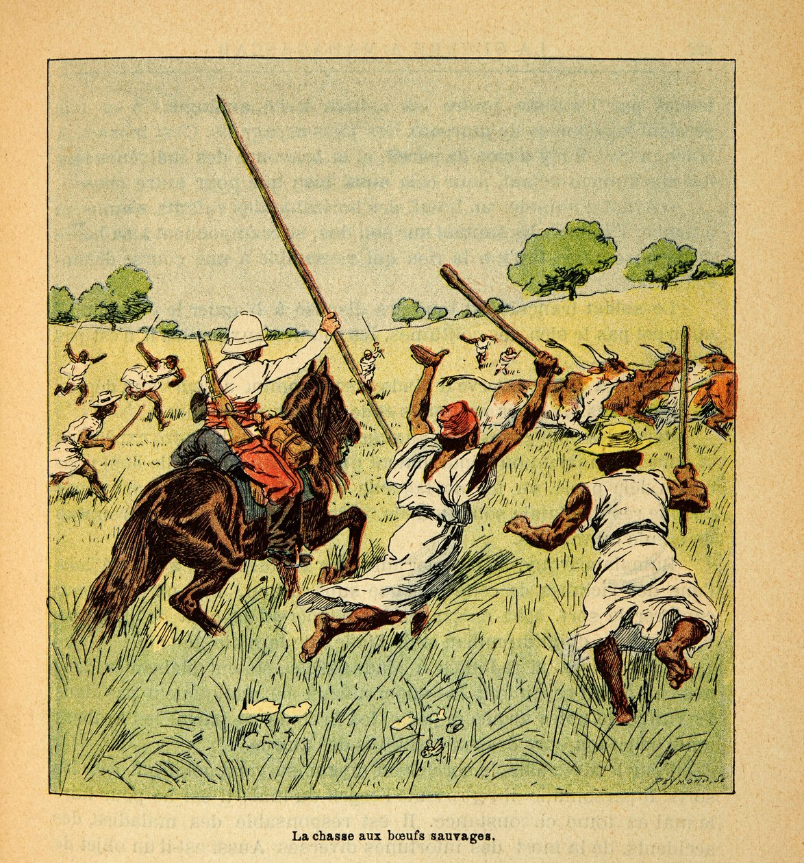 De oorlog in Madagaskar-Anekdotische geschiedenis van de Franse expedities van 1885-1895 door Henri Galli dit Galllichet (1854-1922), geïllustreerd door Louis Bombled (1862-1927): De jacht op wilde ossen in Madagaskar in 1895, Privécollectie door Louis Charles Bombled