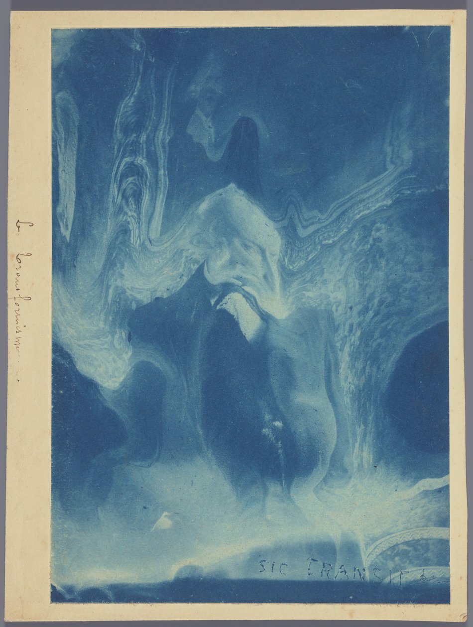 Le transformisme / Sic transit door Louis Ducos du Hauron (attributed to)