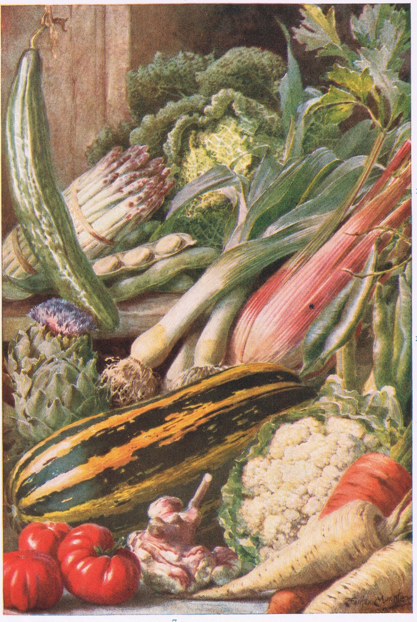 Tuin groenten, illustratie uit 