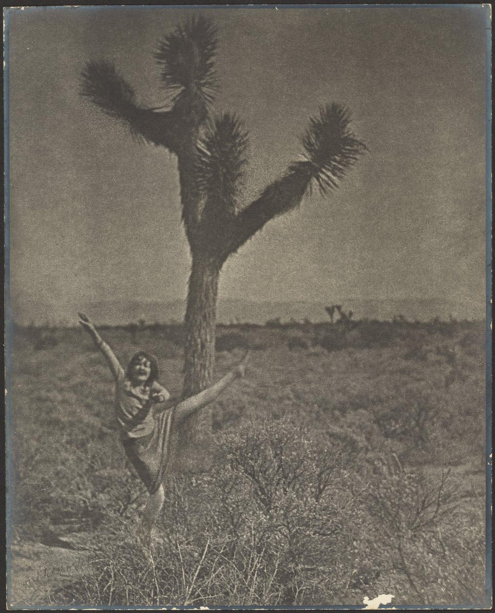 [Danseres bij Joshua Tree] door Louis Fleckenstein