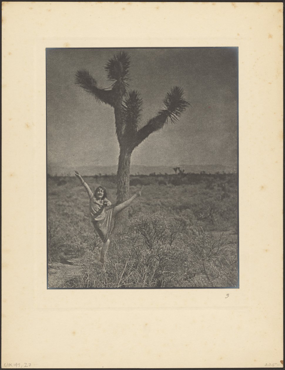 [Danseres bij Joshua Tree] door Louis Fleckenstein