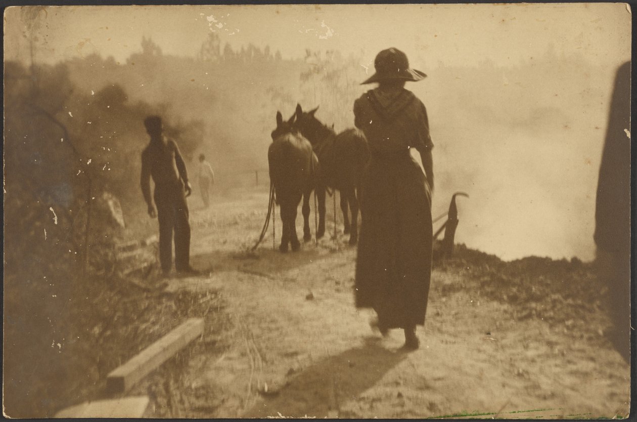 [Boerderijtafereel met een vrouw die naar de paarden loopt] door Louis Fleckenstein
