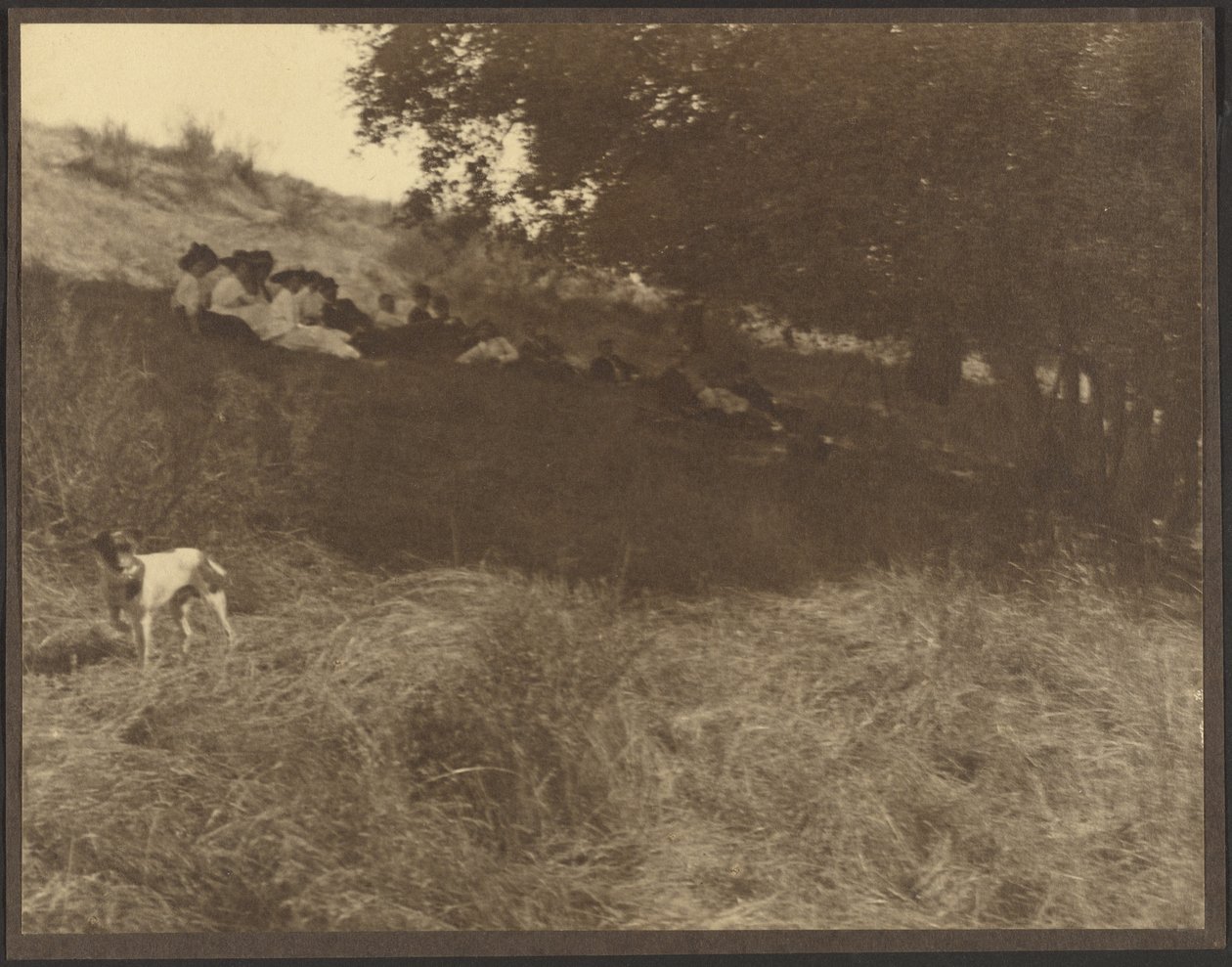 [Groepsfoto: Rustend in het veld met hond] door Louis Fleckenstein