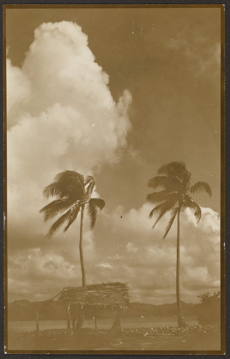 Landschap met palmbomen door Louis Fleckenstein