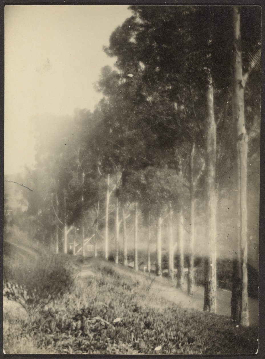 Landschap met bomenrij door Louis Fleckenstein
