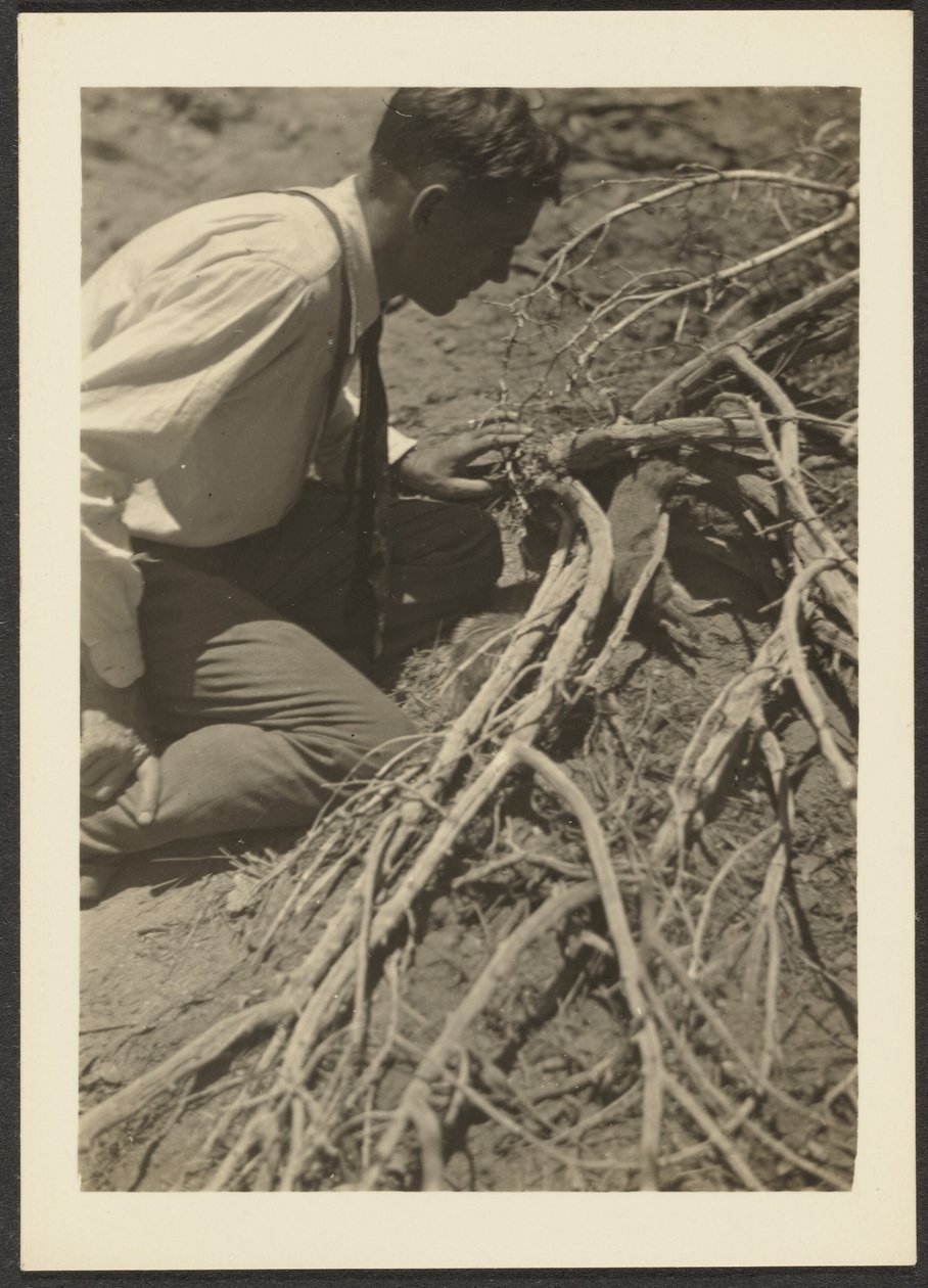 [Man met wortels]. door Louis Fleckenstein