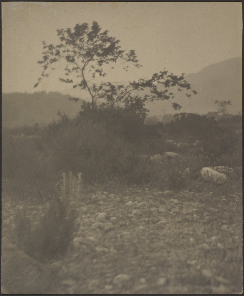 [Rotsachtig Landschap] door Louis Fleckenstein