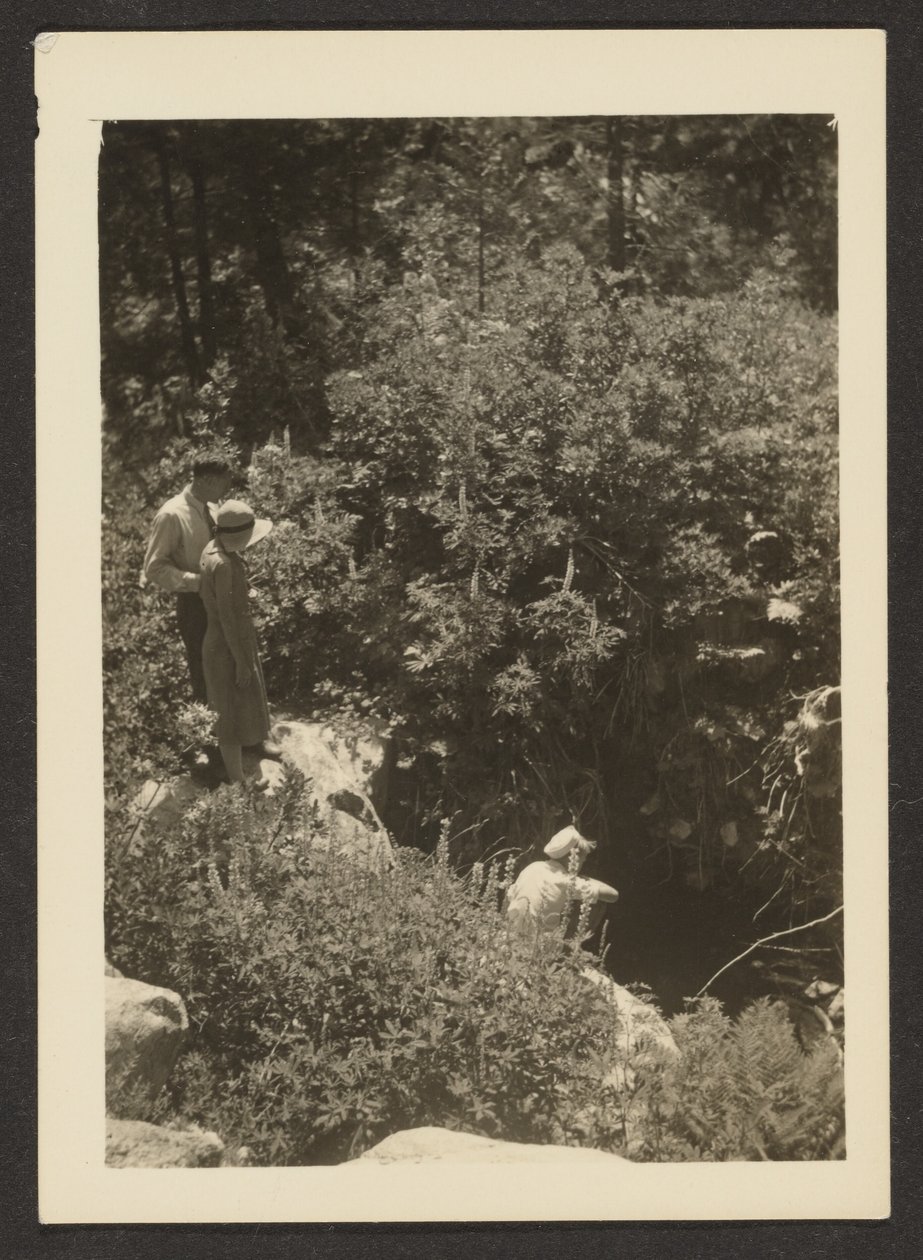 [Lente in Fern Valley] door Louis Fleckenstein