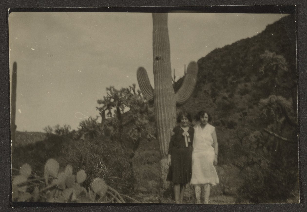 Twee vrouwen voor een cactus door Louis Fleckenstein