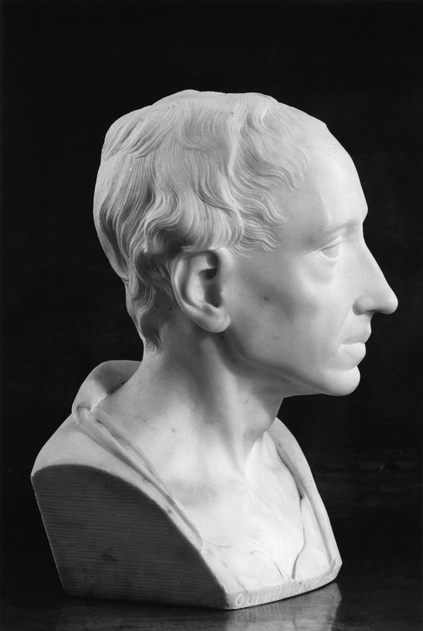 Buste van Alexander Pope door Louis Francois Roubillac