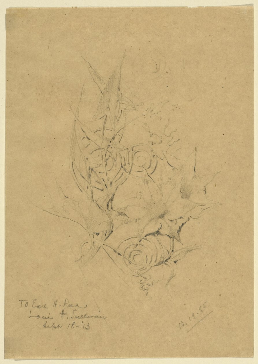 Plantvorm studie door Louis H. Sullivan
