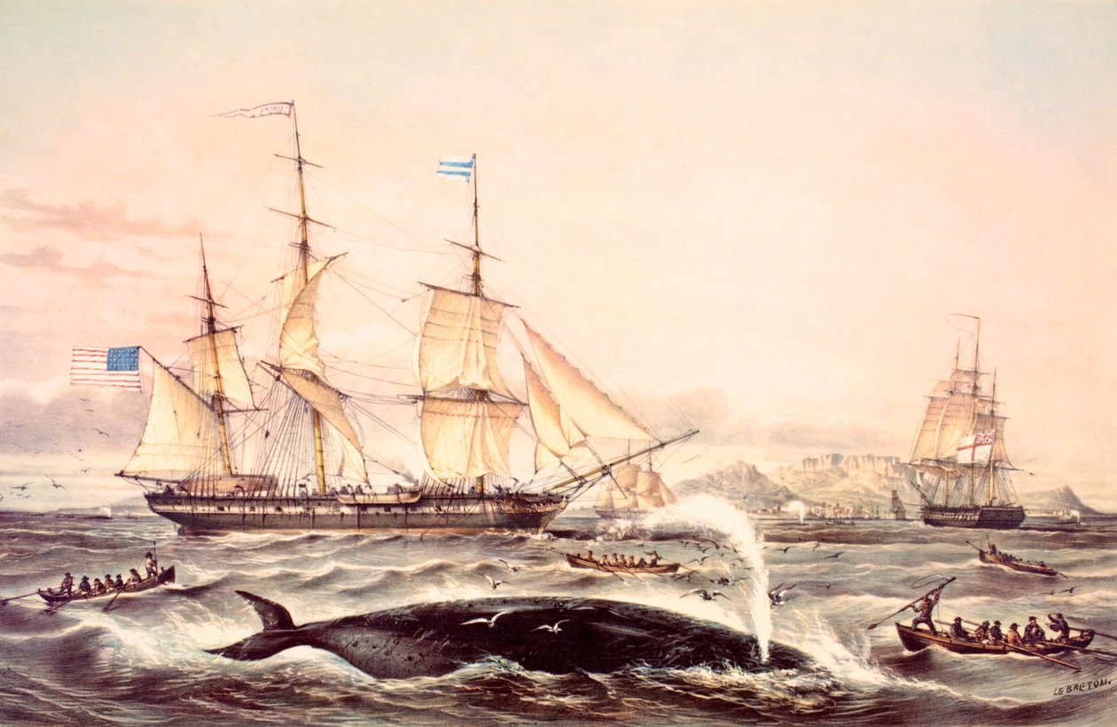 Walvisvangst bij Kaap de Goede Hoop door Louis Le Breton