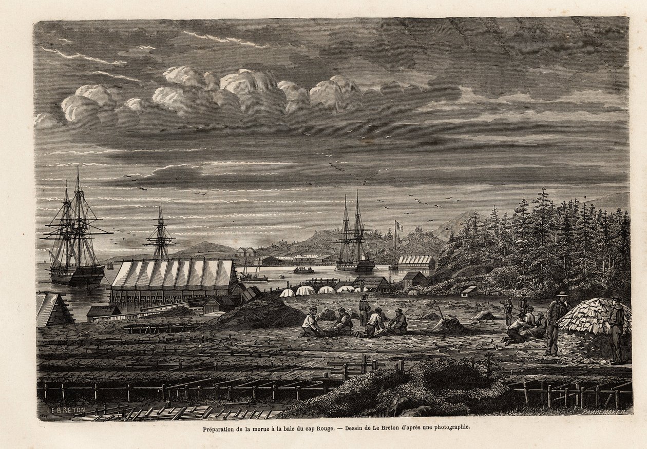Voorbereiding van kabeljauw in de baai van Cap Rouge, het schoonmaken van de vis en het verzamelen van levers om olie te winnen, vervolgens zouten in de hut op palen, tekening door Lebreton, ter illustratie van de reis naar Newfoundland in 1860 door A. de  door Louis Le Breton