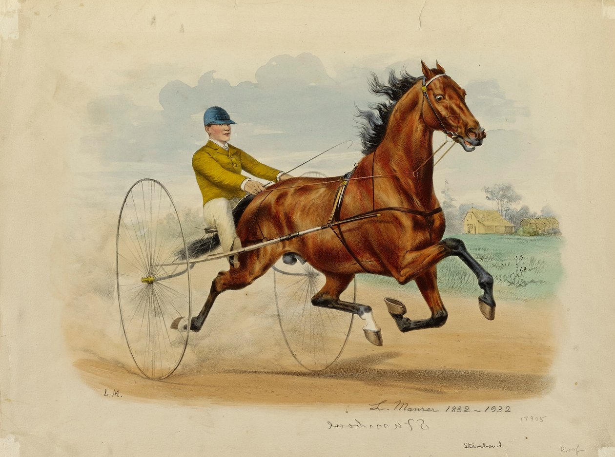 Stamboul door Louis Maurer