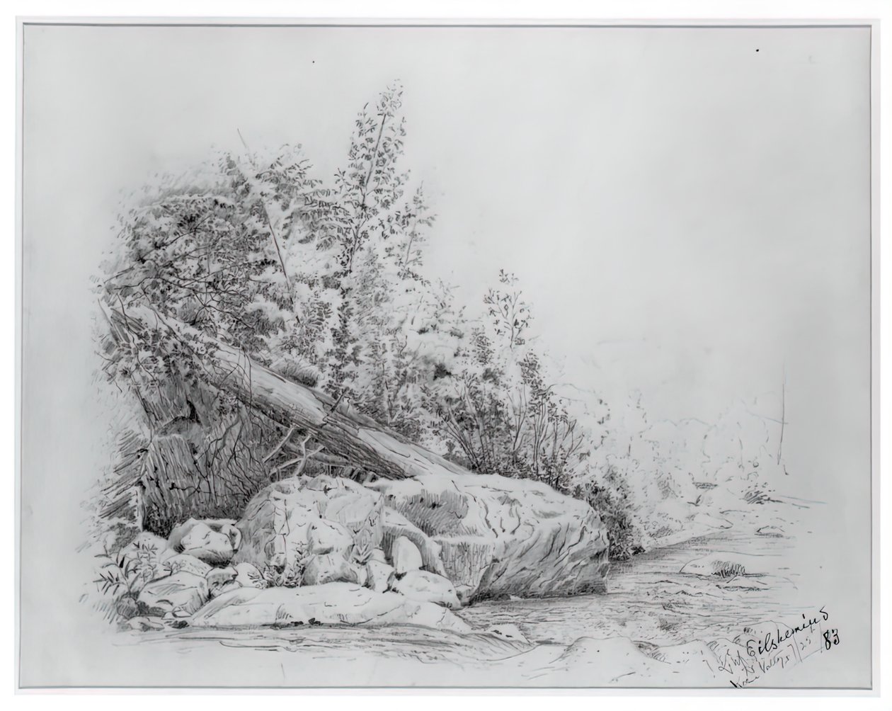 Omgevallen Boom, Keene Valley, 25 juli 1883 door Louis Michel Eilshemius