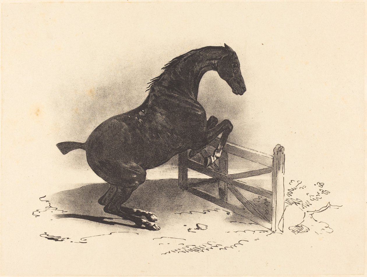 Paard dat over een hindernis springt door Louis Pierre Marie Courtin after Théodore Gericault