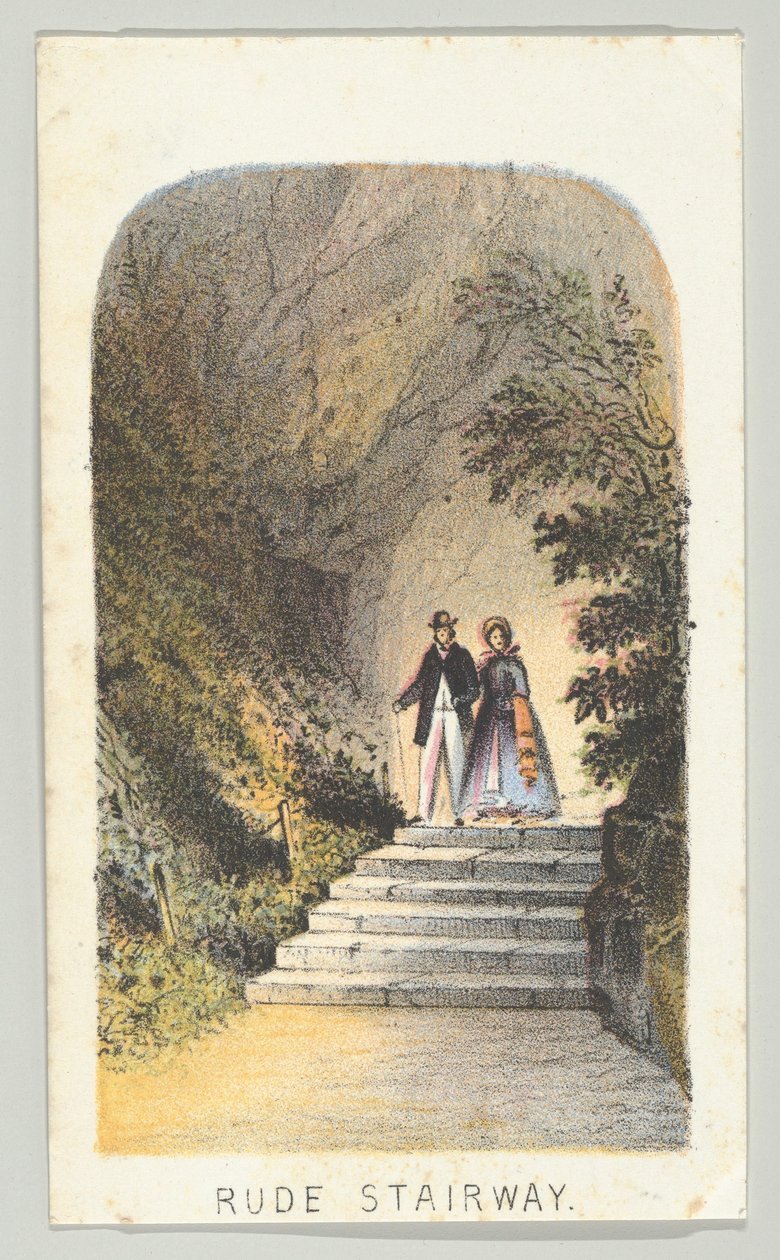 Ruwe trap, uit de serie, Uitzichten in Central Park, New York, Deel 2, 1864 door Louis Prang