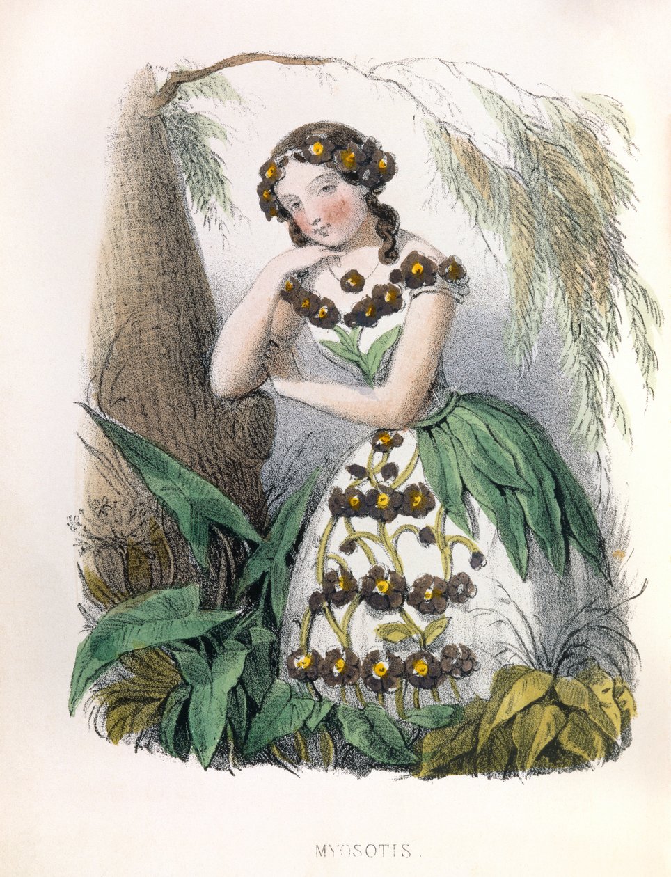  door Louis Simon (1810-1870) Lassalle