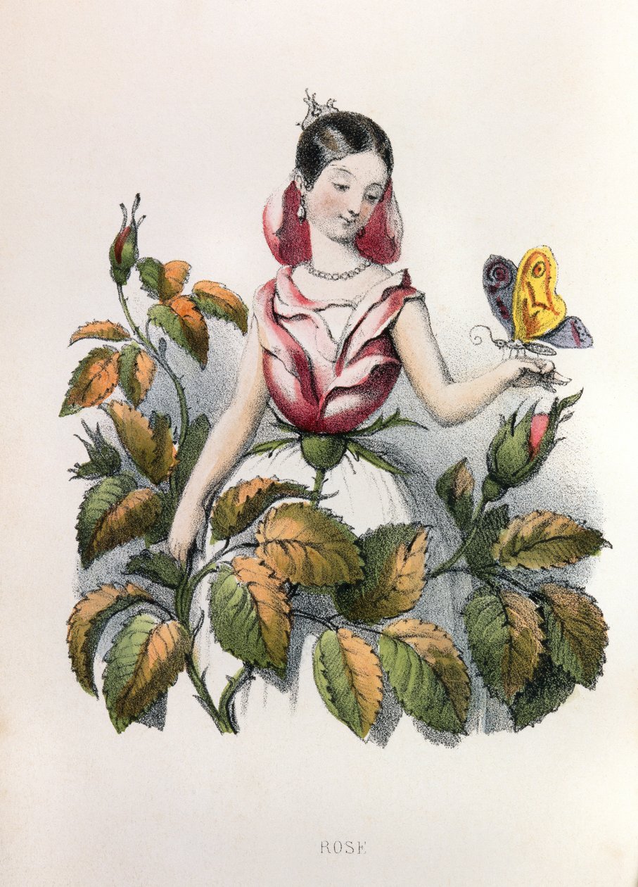  door Louis Simon (1810-1870) Lassalle