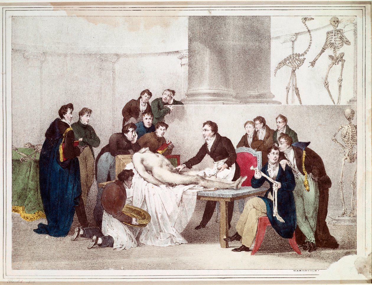 De anatomische les door Louis Thomas Bardel