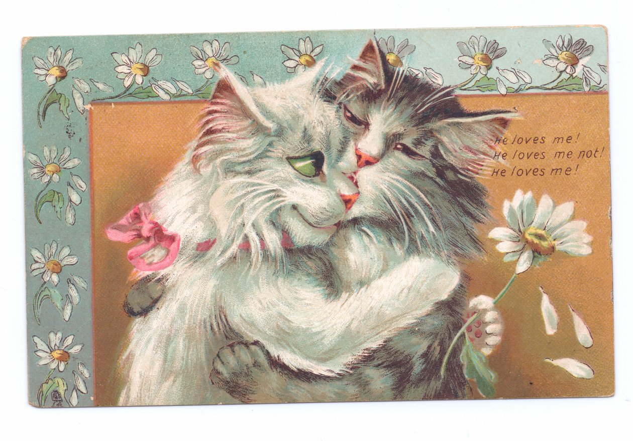 Edwardiaanse ansichtkaart van twee katten die elkaar omhelzen, ca. 1910 door Louis Wain