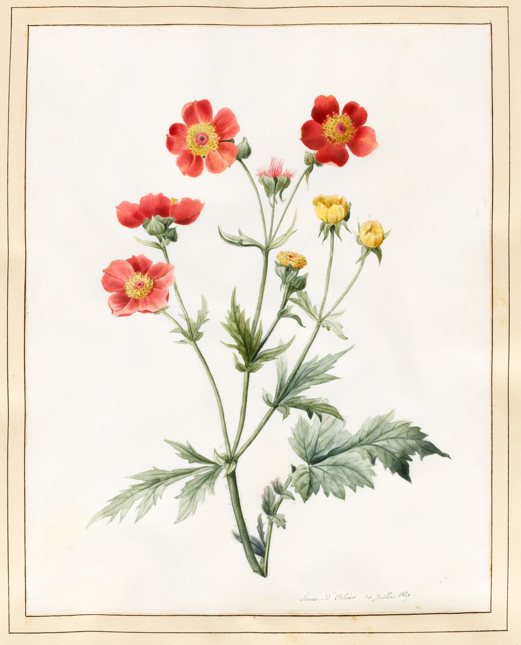 Composiet, 1827 door Louise DOrleans