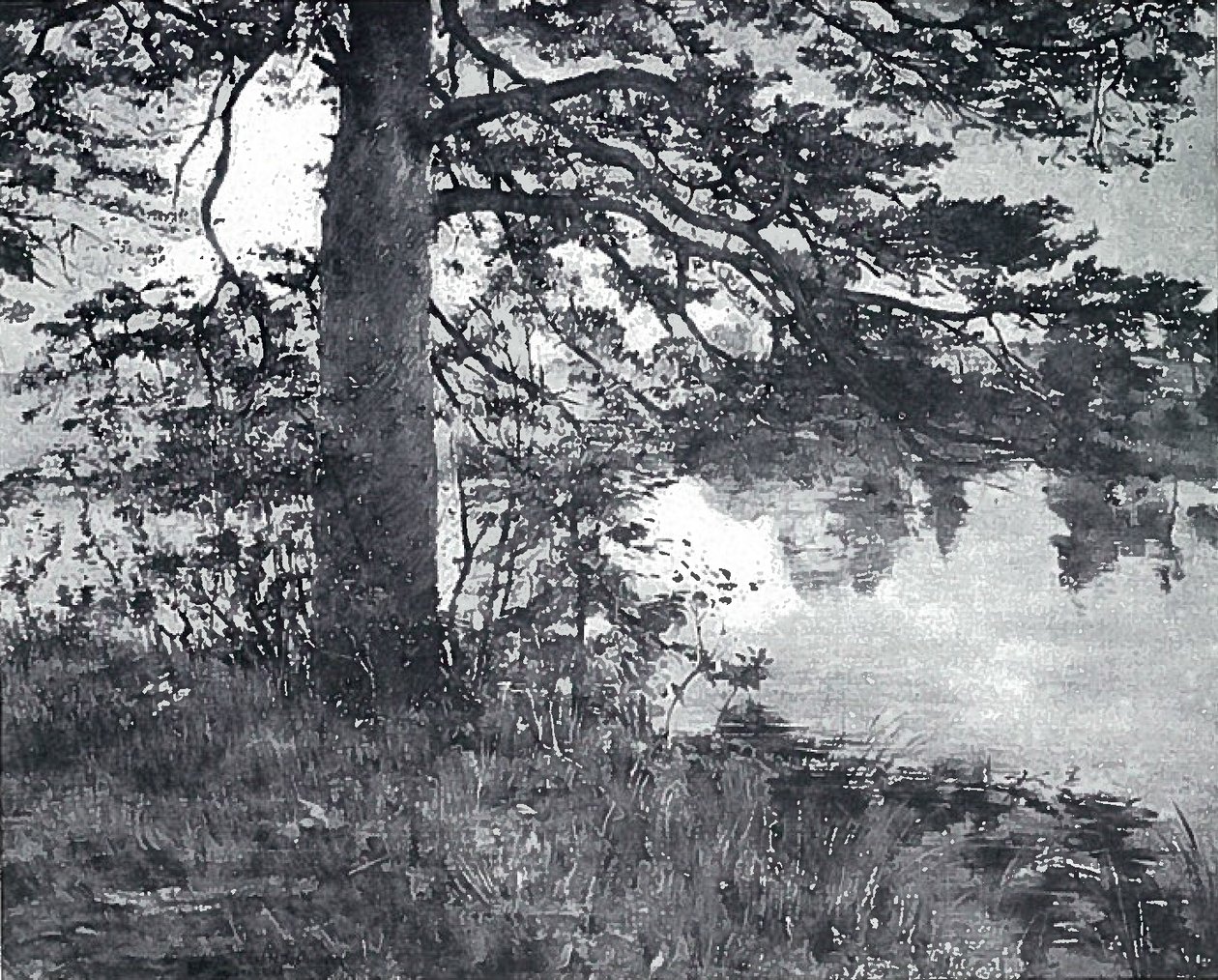 Den aan het water door Lovis Corinth