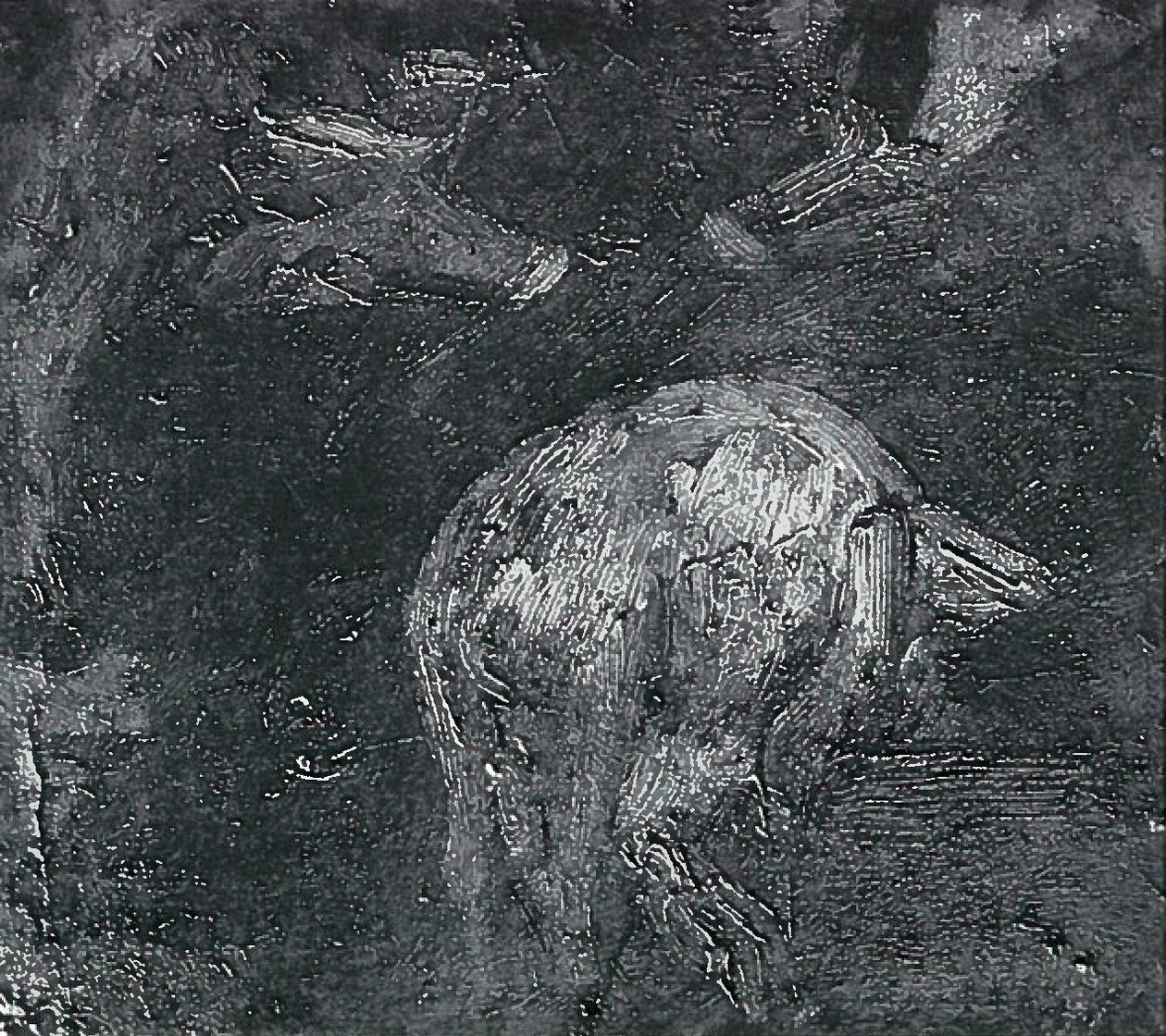 Varkensstudies door Lovis Corinth