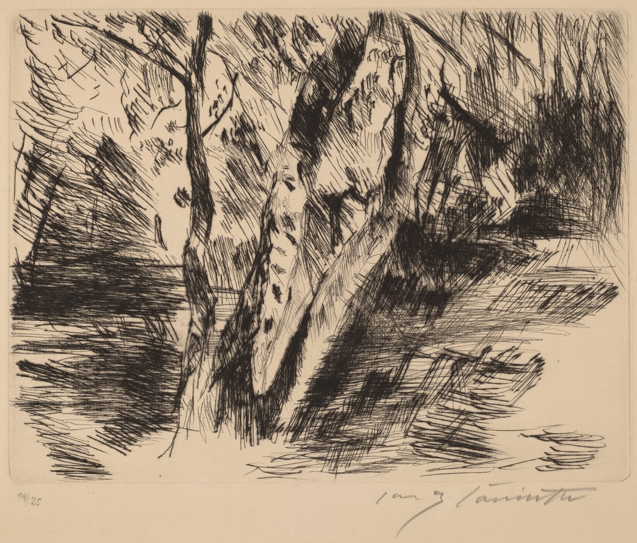 Berkenstammen in de Tiergarten, 1920-1921 door Lovis Corinth