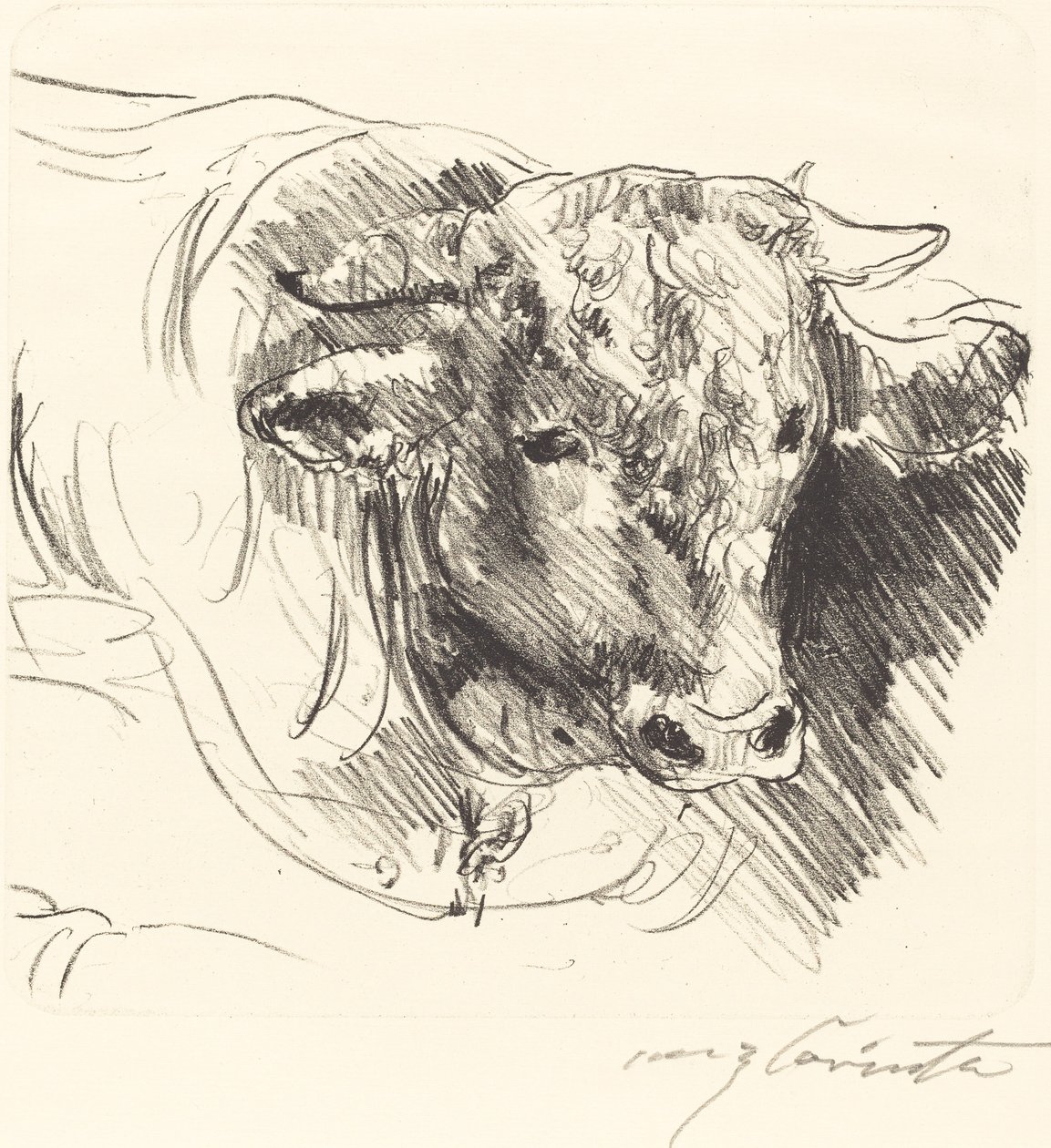 Stierkopf, 1912 door Lovis Corinth