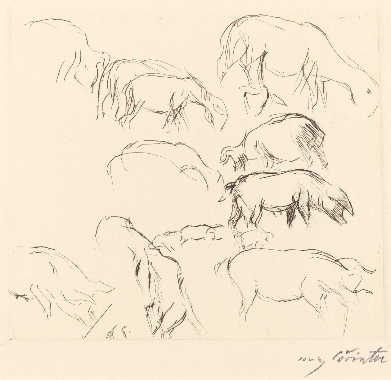 Verschillende dierstudies door Lovis Corinth