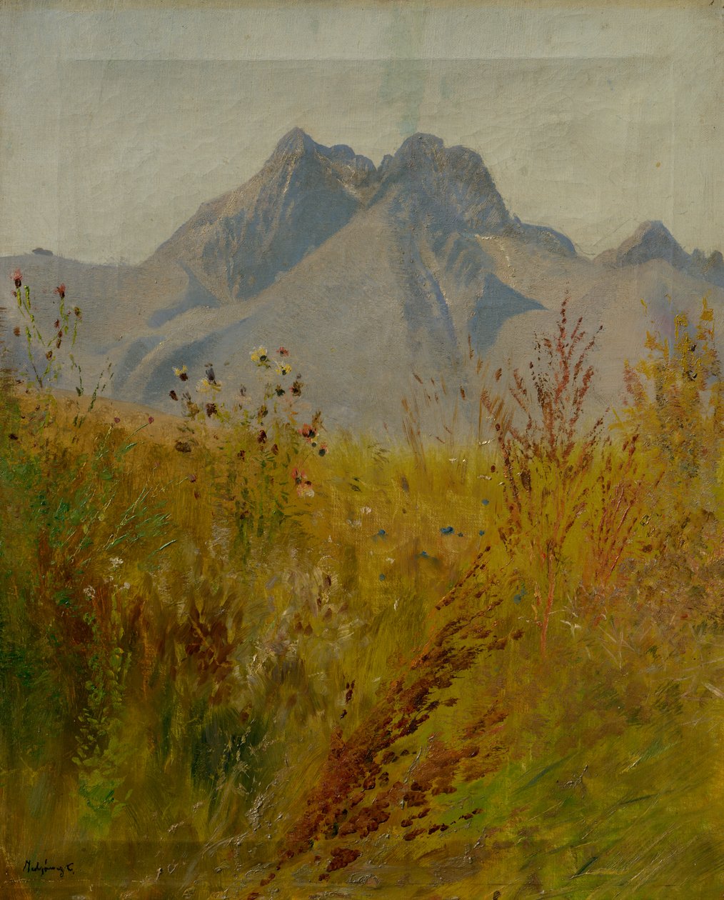 Lomnický Peak door Laszlo Mednyanszky