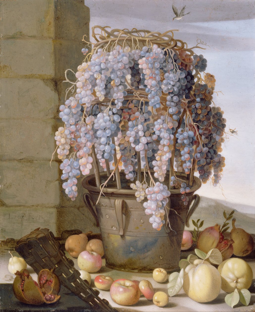 Stilleven met druiven en ander fruit door Luca Forte