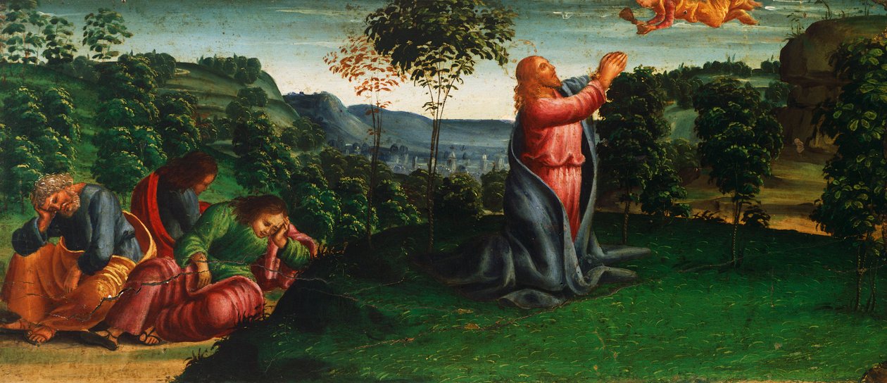 Verhalen van Christus: Christus in de Tuin van Getsemane door Luca Signorelli