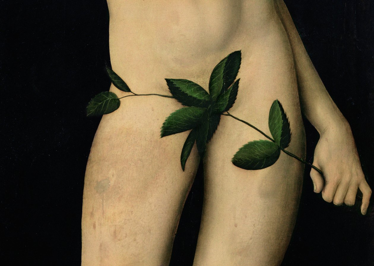 Adam (detail) door Lucas Cranach the Elder