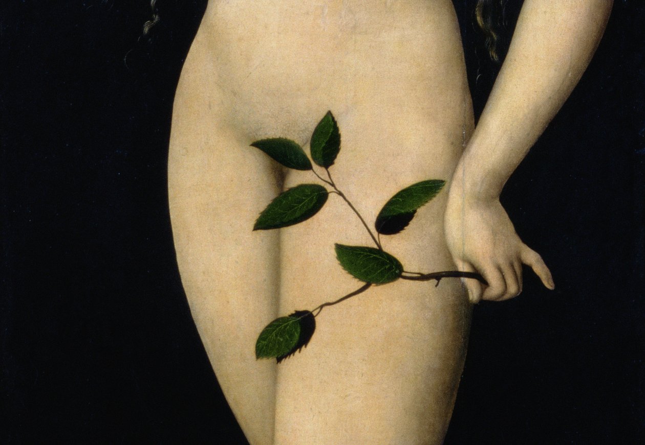 Eva, 1528 (detail) door Lucas Cranach the Elder